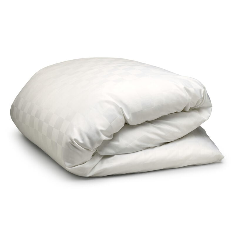 #color_Satin Check White