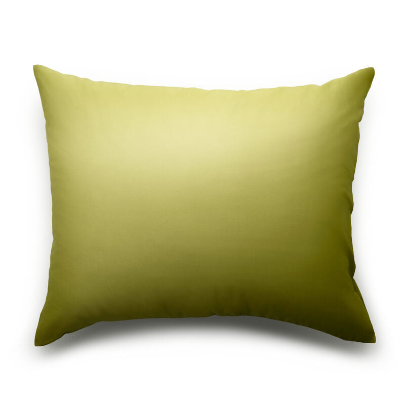 #color_Avocado Green