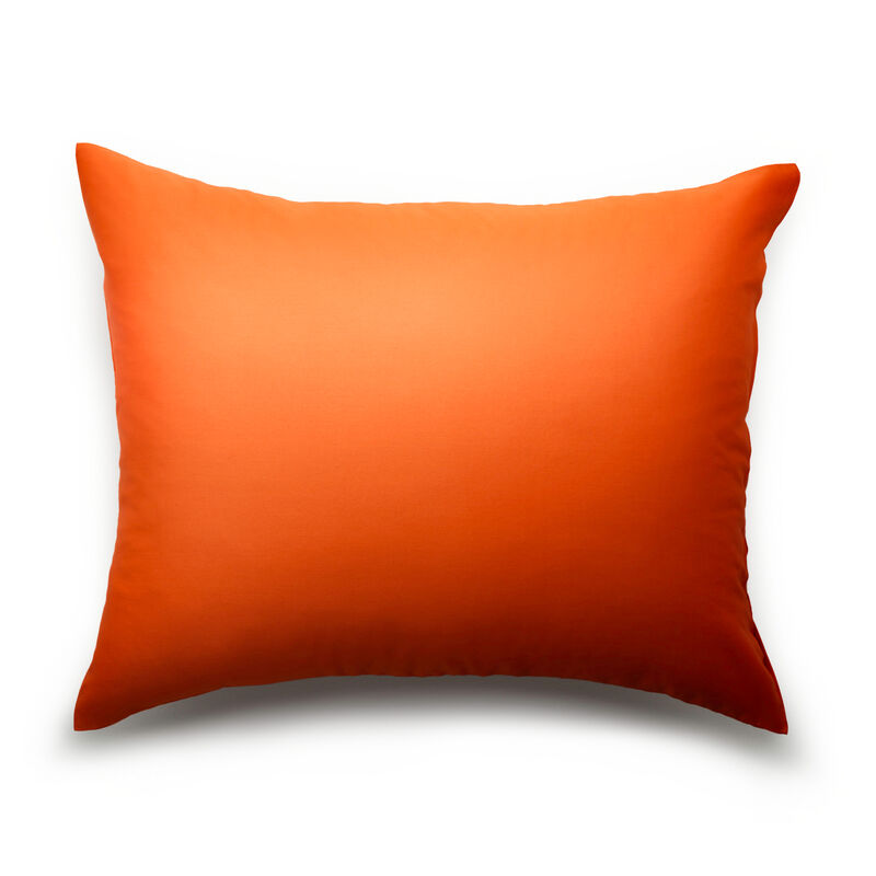 #color_Parisian Orange