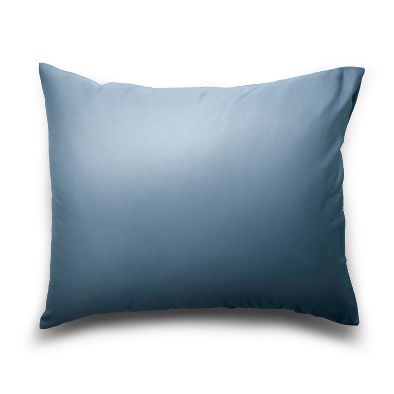 #color_Shady Blue